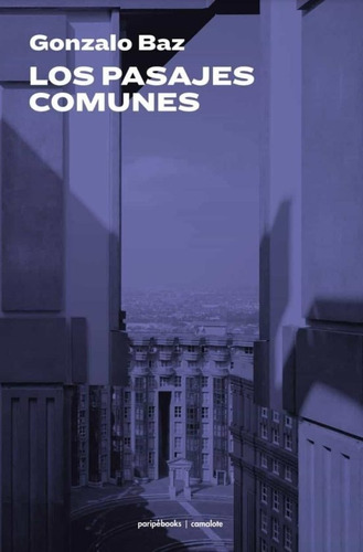 Libro Los Pasajes Comunes - Baz, Gonzalo