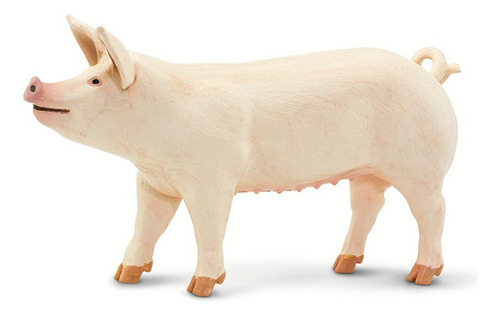 Gran Cerdo Blanco Figura De Colección Safari