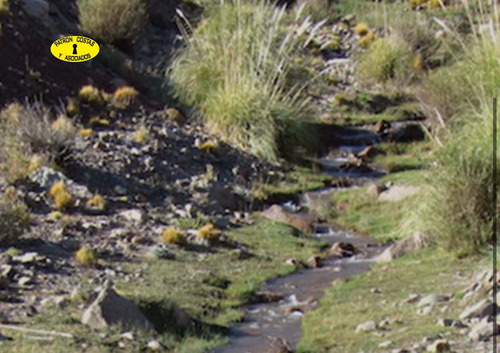 2435ml-fraccion 53 Ha Los Molles - Malargue_mendoza