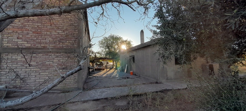 Imagen 7 de 12 de Finca 4 Has. G Alvear Mendoza. 100% En Producción. Casa Y Galpón. Sobre Asfalto. Podría Considerar Alguna Permuta Que No Sea Inmueble. Precio Conversable.