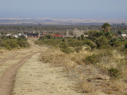 Imagen 13 de 30 de Espectacular Campo Con Loteo, House Restaurante Y Viñedos