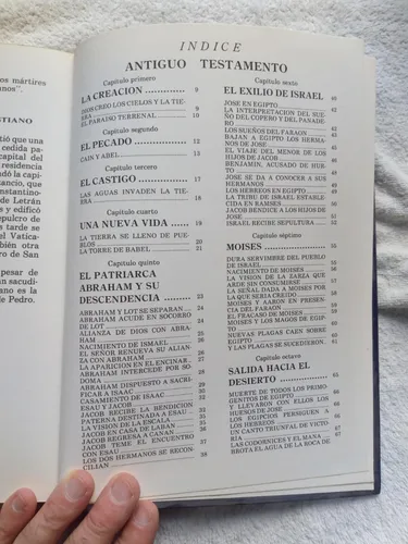 La Biblia Para Jovenes - Antiguo / Nuevo Testamento- T. Dura (Usado)