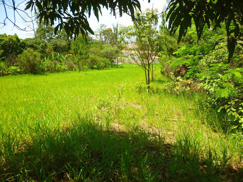 Imagem 5 de 18 de Terreno A Venda, Colinas De Indaiatuba Ii, Indaiatuba - Tr01631 - 4229513