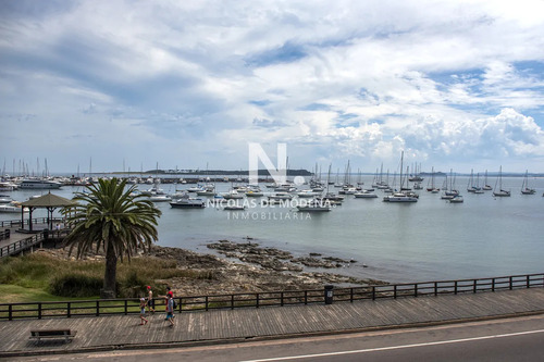 Apartamento Unico Frente Al Mar, Zona Puerto Con Piscina Propia.