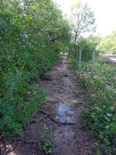 Campo Sobre Ruta
