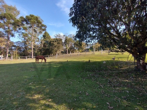 Imagem 12 de 30 de Exuberante Sítio Completo, Rico Em Água Com Nascente Própria, 02 Lagos Piscosos. Excelente Oportunidade!!! Localizado Em Juquitiba/sp - 27 - 32982809