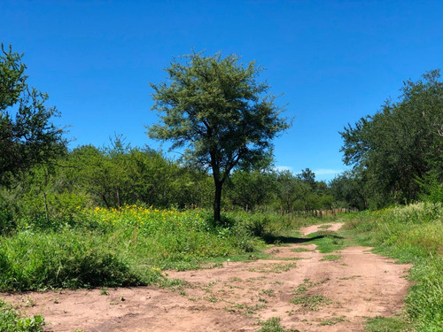 Imagen 1 de 14 de Lote De 2028 M2 Ubicado En Las Chacras - Villa De Las Rosas