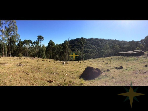 Imagem 3 de 12 de Sítio Com Excelente Localização - 484