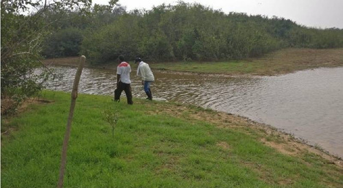 Imagen 29 de 30 de Vendo Hacienda De 990 Hectáreas En Puerto Gaitán En El Meta