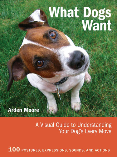 What Dogs Want: A Visual Guide To Understanding Your Dog's E