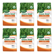 Comprar Scotts Turf Builder - Mezcla De Semillas De Césped Para Otoñ