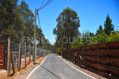 Arriendo Casa En Parque Nativo