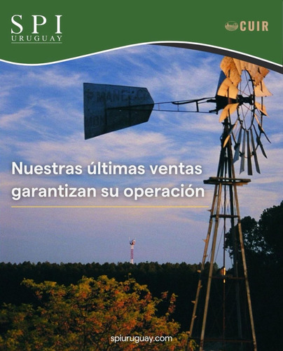 Venta De Estancias En Todo El País