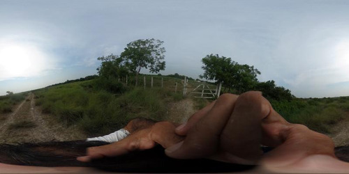 Venta Rancho Ganadero 100 Hectáreas Tamiahua Veracruz