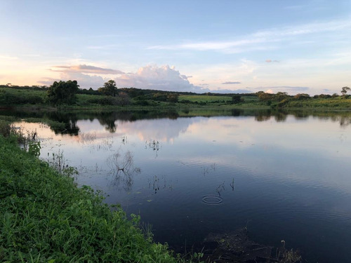 Imagem 15 de 25 de Linda Fazenda Na Bahia!!!!!