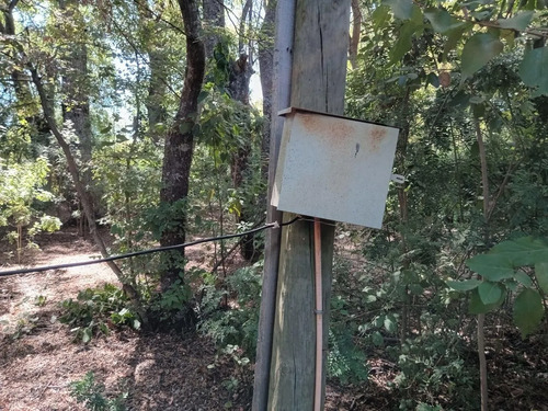Venta De Parcela 10000mt2 De Terreno La Placeta-lo Beño