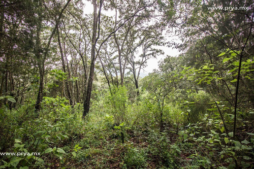 Terreno En Venta Reserva De Los Encinos, Teuchitlán