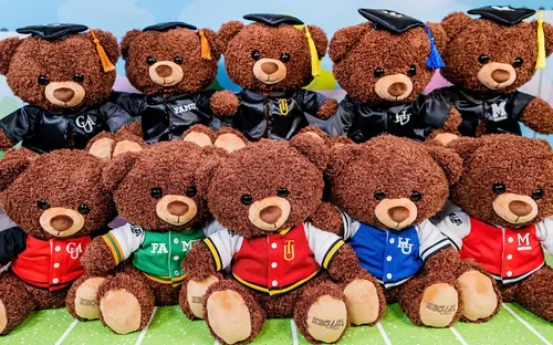 Oso De Peluche Just Play Hbcyou Famu, Graduado, 25 Cm, Niños