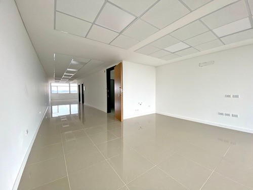 Imagen 3 de 14 de Venta Oficina San Jose A Estrenar Premium