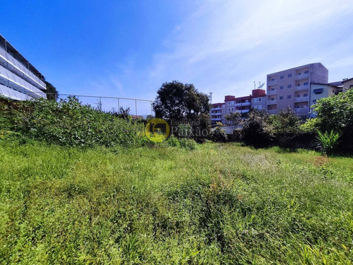Imagem 17 de 19 de Área, Alto Ipiranga, Mogi Das Cruzes - R$ 5 Mi, Cod: 152001 - V152001