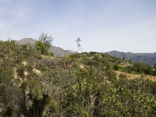 Parcela 32.000m2 En Venta En Cuesta La Dormida - Olmué.