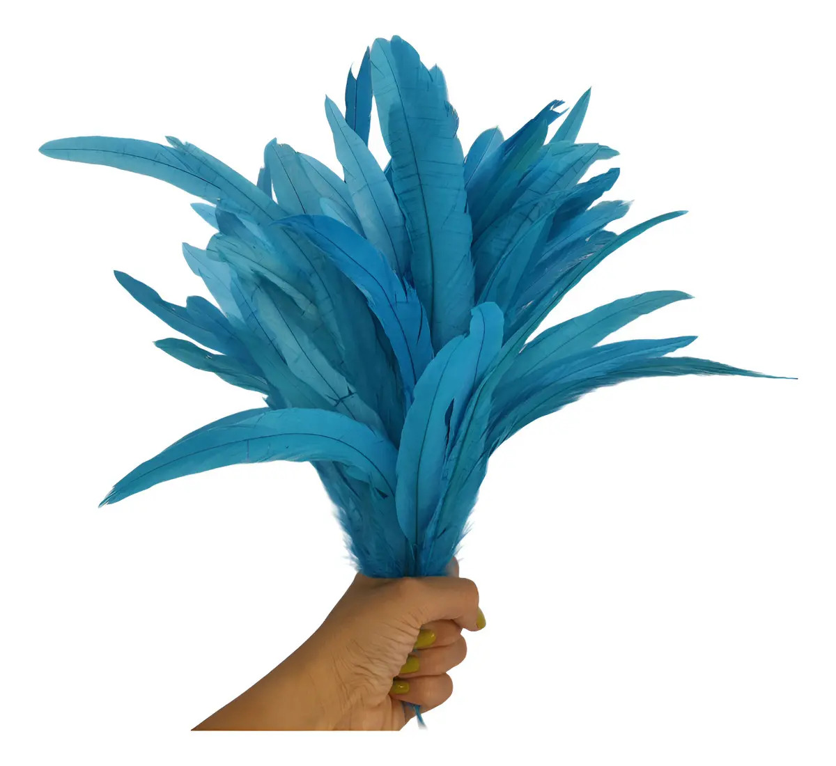 Pena Rabo De Galo Natural 25-30 Cm - 100 Un - Cores Cor Azul-turquesa