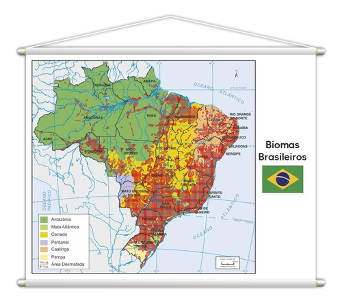 Banner Mapa Escolar Biomas Brasileiros Geografia 130x100cm