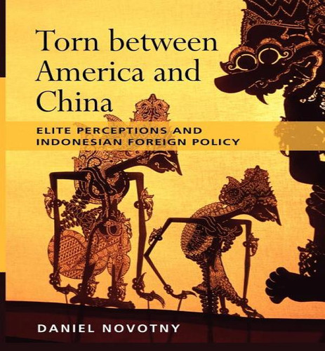 Libro Torn Between America And China : Elite Perceptions ...