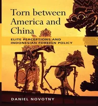 Comprar Libro Torn Between America And China : Elite Perceptions ...