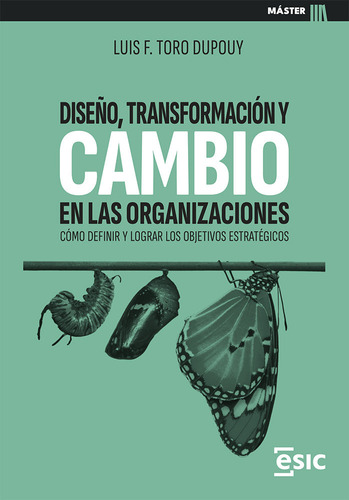 Libro Diseão Transformacion Y Cambio En Las Organizacion...