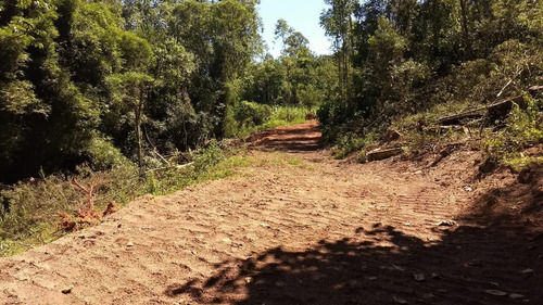 Imagem 7 de 13 de Chacara - Estacao Cocal - Ref: 21 - V-21