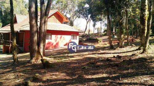 Imagem 4 de 25 de Chácara Com 2 Dormitórios À Venda, 5400 M² Por R$ 319.000,00 - Campestre Da Faxina - São José Dos Pinhais/pr - Ch0013