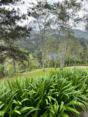 Vendo Solar En Constanza Oportunidad