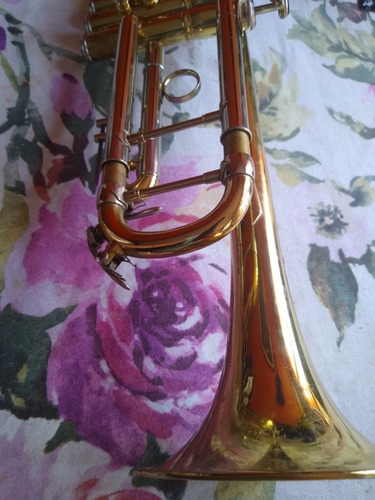 Wisemann (Usado)