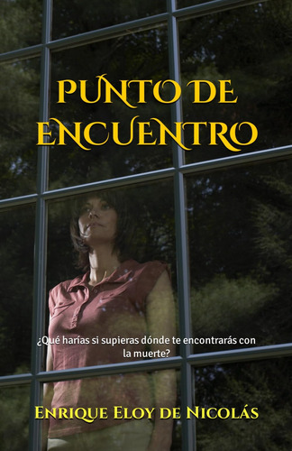 Libro: Punto De Encuentro: ¿qué Harías Si Supieras Dónde Te 