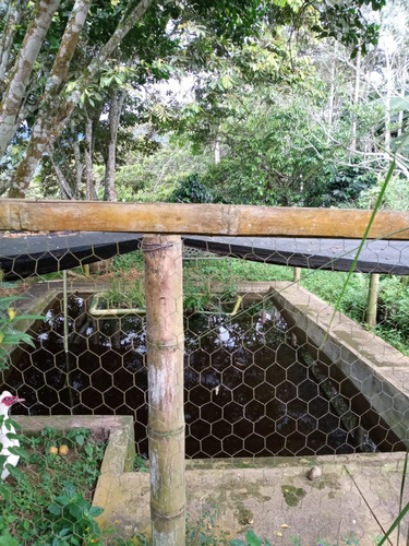 Imagen 22 de 22 de Vendo Finca Bitaco