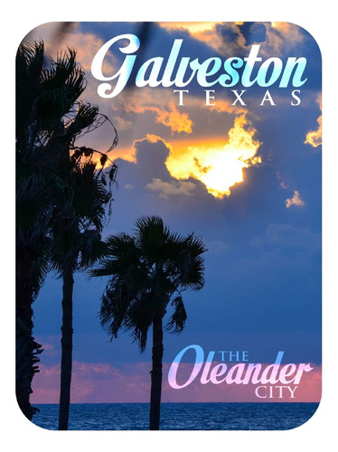 Galveston Texa The Oleander City Iman Refrigerador Foto
