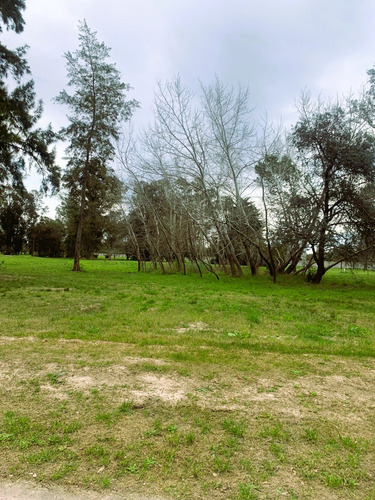 Lote En Venta St Thomas Centro Sector Golf -canning- Consultar Financiación-