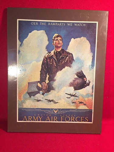 Militaría Cartel Army Air Force Vintage