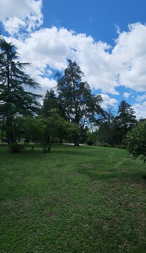 Venta 7 Hectareas Con Costa De Arroyo Casco De Estancia