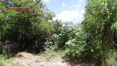 Imagem 4 de 7 de Área Rural À Venda, Vila Palmares, Franco Da Rocha. - Ar0010