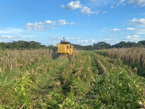 Imagen 12 de 14 de Finca En Venta En Guarico
