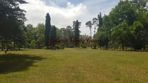 Venta De Chacra En Maldonado, Punta Ballena 5 Has - Ref: 19265