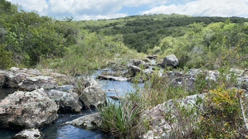 Imagen 12 de 30 de 7 Chacras De 5 Has Cada Una A 20 Km De Aigua Por Ruta 39 - Consulte !!!!!