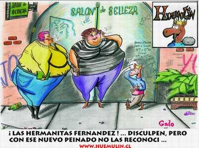 Imagen 4 de 6 de Huemulin Comics
