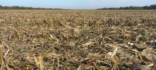 Imagen 2 de 14 de Sachayoj Campo Agrícola 1450 Hectáreas - Tope Gama