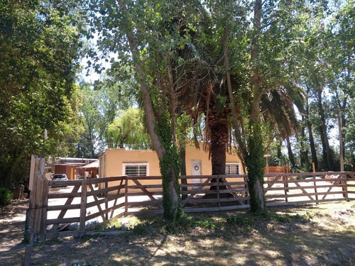 Casa Quinta En Venta - 1 Dormitorio 1 Baño - 960mts2 - Domselaar