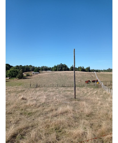 Se Vende Terreno En Chiloé