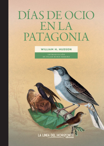 DIAS DE OCIO EN LA PATAGONIA, de HUDSON WILLIAM H.. Editorial La Línea Del Horizonte Ediciones, tapa blanda en español