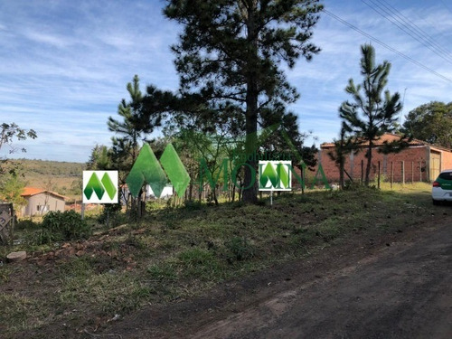 Imagem 1 de 2 de Terreno - Te00070 - 70027517